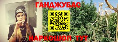 СК Абинск