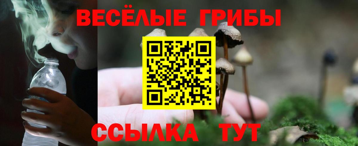 Галлюциногенные грибы Psilocybine cubensis  Вход с VPN  Алушта 