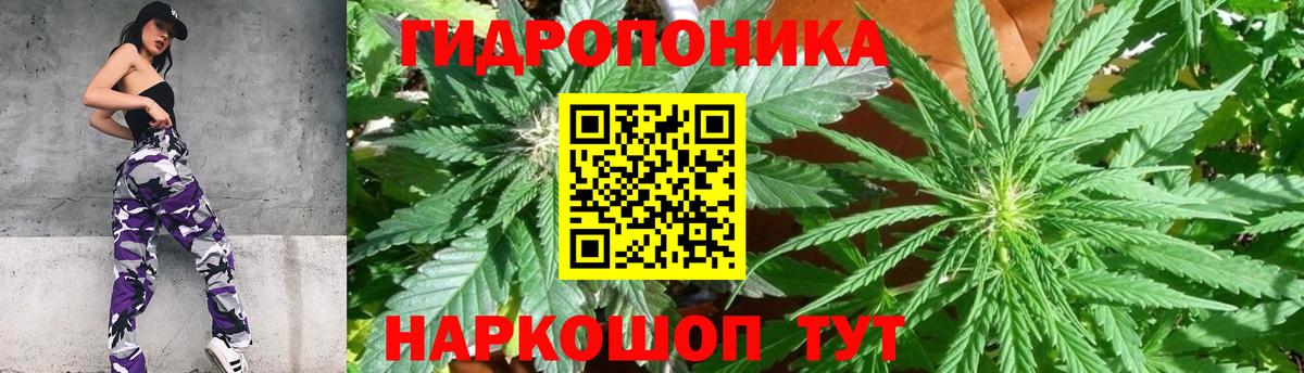 Бошки марихуана план  Конопля OG Kush  Алушта  Конопля планчик  Каннабис Ganja  Вход с VPN 